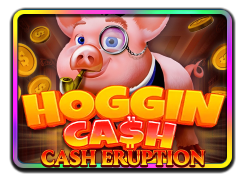 Hoggin Cash